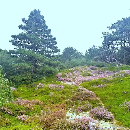 Neptun Spo דירה *