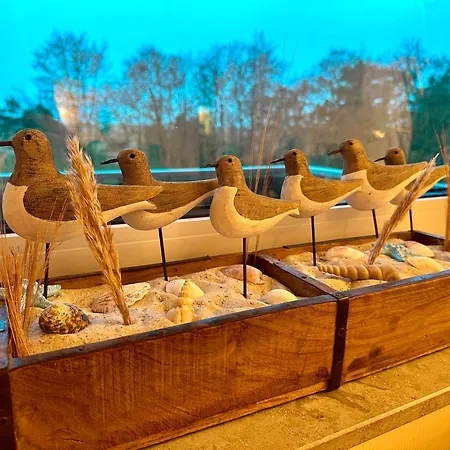 Neptun Spo דירה Böhl