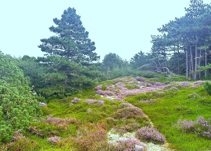 Neptun Spo Appartement *