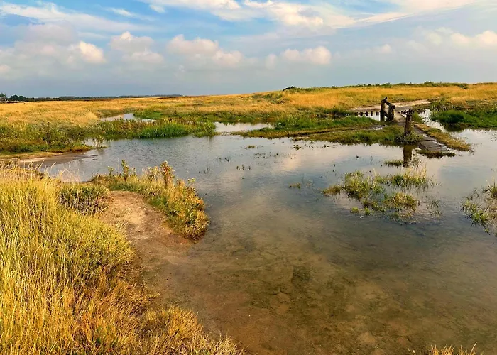 Appartement Neptun Spo