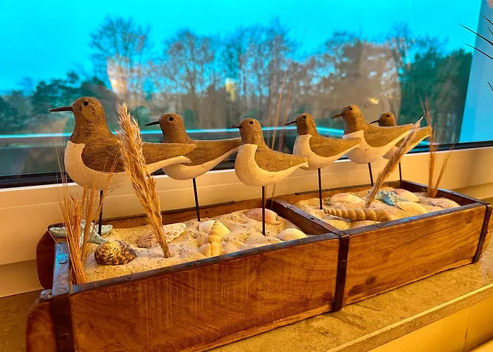 Neptun Spo Appartement Böhl